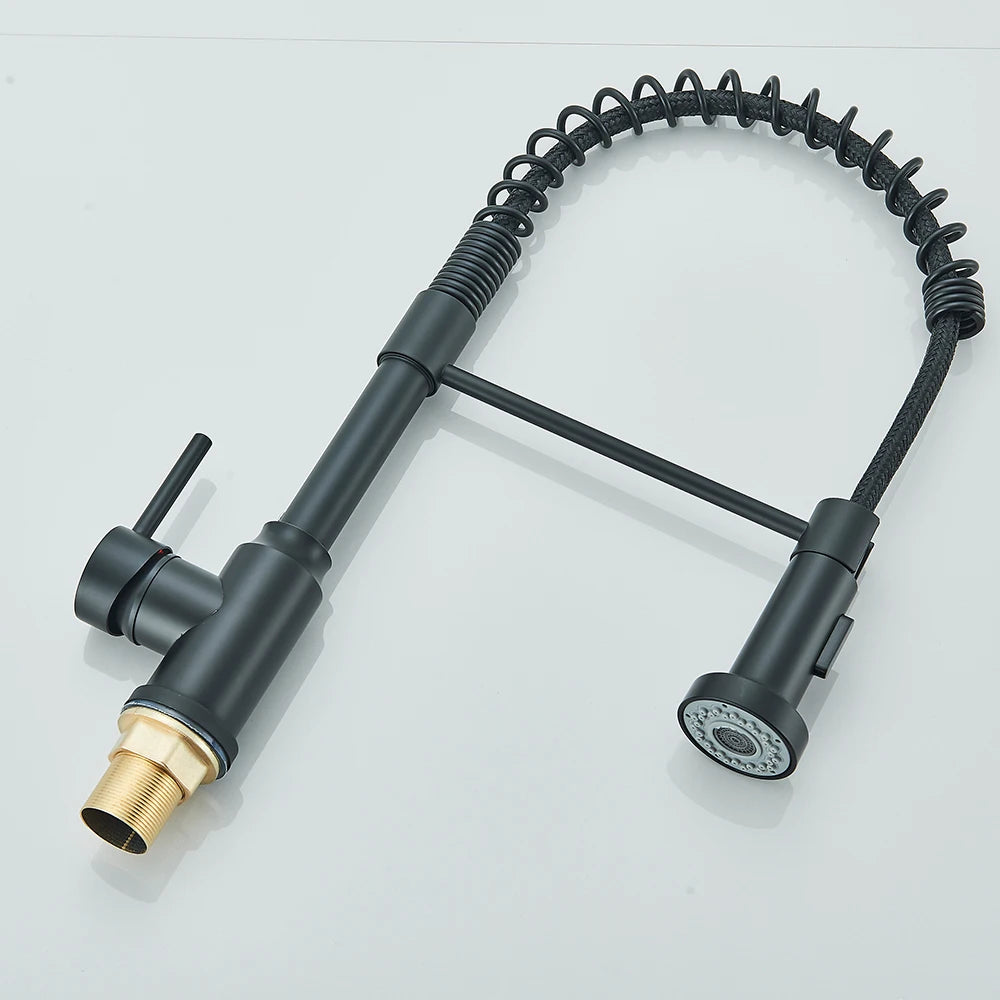 Robinet de Cuisine Brossé avec Mitigeur à Ressort